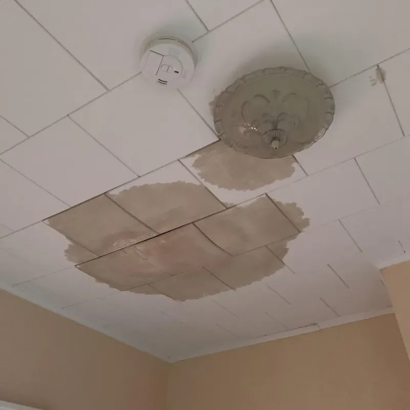Ceiling Water Damage Repair in Dunn County, WI