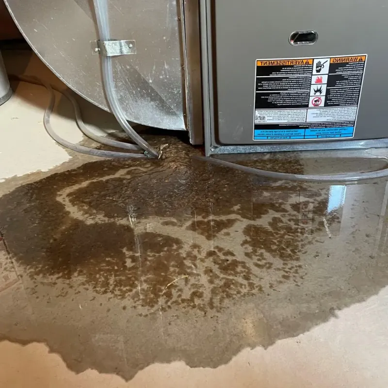 Pipe Burst and Leak Restoration in Dunn County, WI