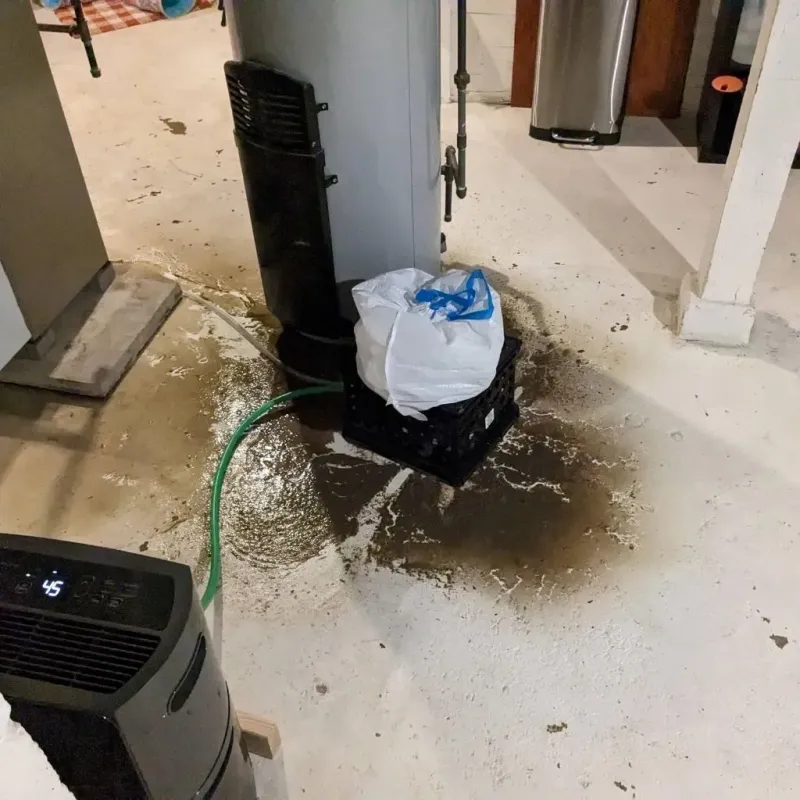 Sewage Backup Cleanup Service in Dunn County, WI